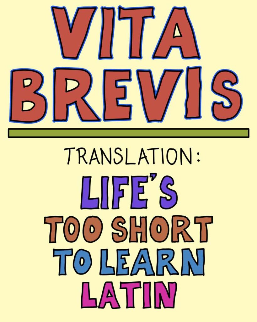 Text based art. Vita Brevis